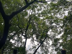 -道教老君洞