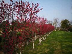 二十四孝主题园-上海望仙安息园