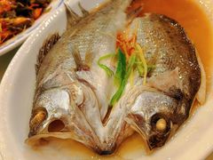 -锦江中华村农家乐饭庄