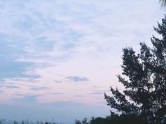 -深圳湾公园(南山区)
