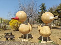 -前关湿地公园