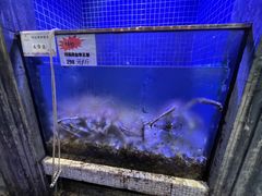 水产区-珍宝轩海鲜火锅(碧湖大厦店)
