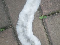 -风云岭森林公园