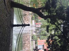 -同济大学(沪西校区)