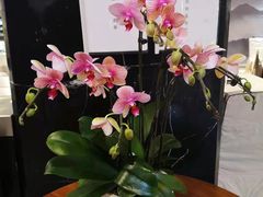 -眉州东坡(通州店)