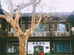 -孙奶奶葱包桧