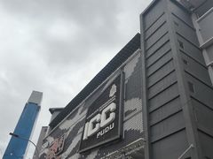 -ICC PUDU