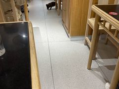 大堂-蔡先生(双阳路店)