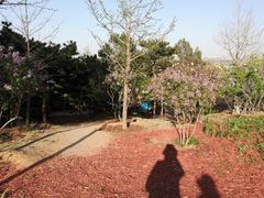 -北京西山国家森林公园