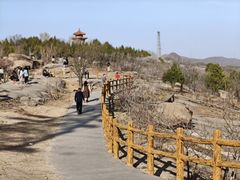 -白水寺森林公园