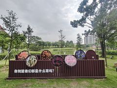 -王借岗森林公园