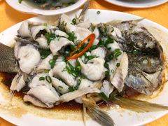 葱油淋大罗非-鸽王世家(东华东路店)