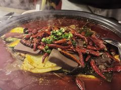 -探鱼·鲜青椒爽麻烤鱼(广州欣荣广场店)