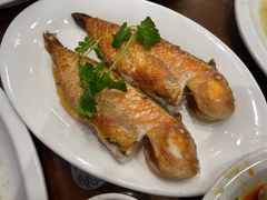 -长平肥姐白粥·海鲜打冷