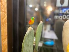 -炒码先生·韩餐炸鸡披萨(西塔店)