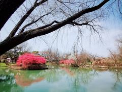 -西溪国家湿地公园