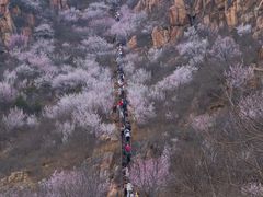 -北京凤凰岭