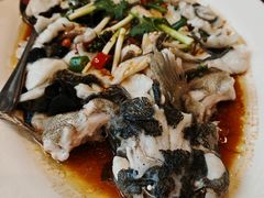 -龙悦湾酒家·八阵鱼生·渔人码头店