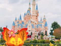 -上海迪士尼度假区