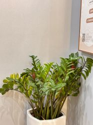 -菩羽·专业美胸·连锁养护中心