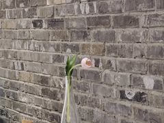 -江味龙虾馆·裸蓝龙虾(南山店)