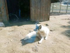 -无锡动物园·太湖欢乐园