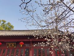 -长春观