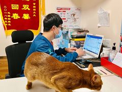 -瑞派·关忠动物医院·异宠专科·犬猫肿瘤·皮肤专科(望京店)