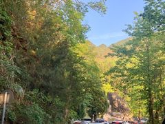 -大围山国家森林公园