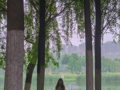 -滨湖塘西河公园