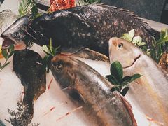-Mr·Fish鱼鲜生海鲜放题(银泰in99店)