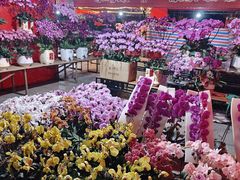 -文华公园(禅城区)
