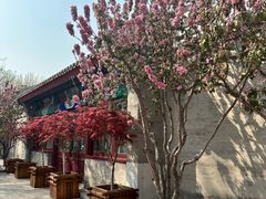 -京兆尹(雍和宫店)