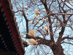 -颐和园