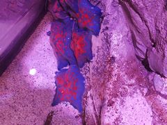 -沈阳海洋探索中心