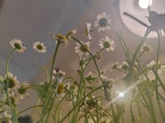 -雕刻时光咖啡馆(交大店)