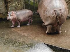 -宁波野生动物园