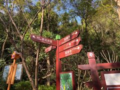 -东莞市大岭山森林公园