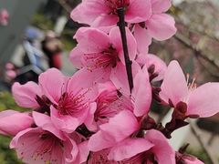 -广富林郊野公园