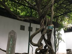 -裕兴记·三虾面(西北街总店)