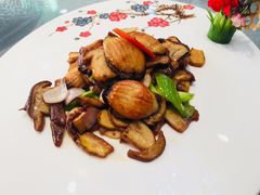 牛肝菌香烹炒鲜鲍鱼-星海一品