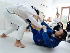 -菠萝格斗巴西柔术训练馆