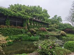 -中国茶叶博物馆(双峰馆区)