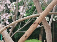 -乌山风景区