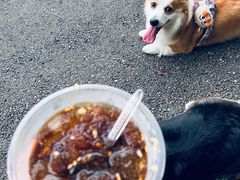 -桤木河湿地公园