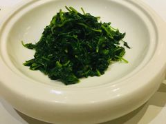 清炒时蔬-西郊5号·Maggie 5