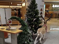 -海马体照相馆(万菱汇店)
