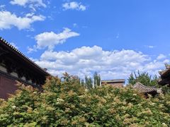 -善化寺