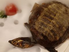 -索菲特酒店·海鲜自助 ·聚餐厅