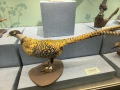 -陕西自然博物馆